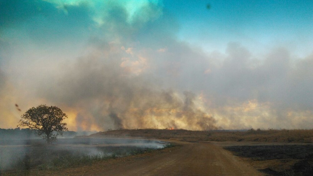 Fazendas foram atingidas pelas chamas (Foto: Divulgação) 
