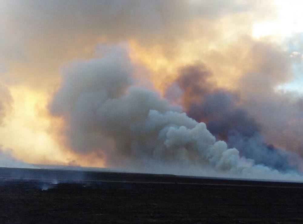 Pastos e lavouras foram atingidas pelas chamas (Foto: Divulgação)