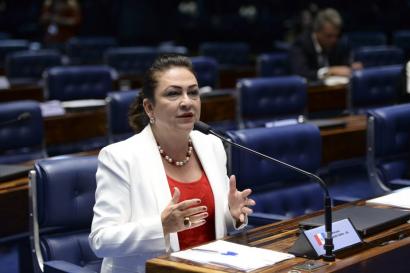 Senadora lamenta vetos à MP da renegociação de dívidas agrícolas da Sudene