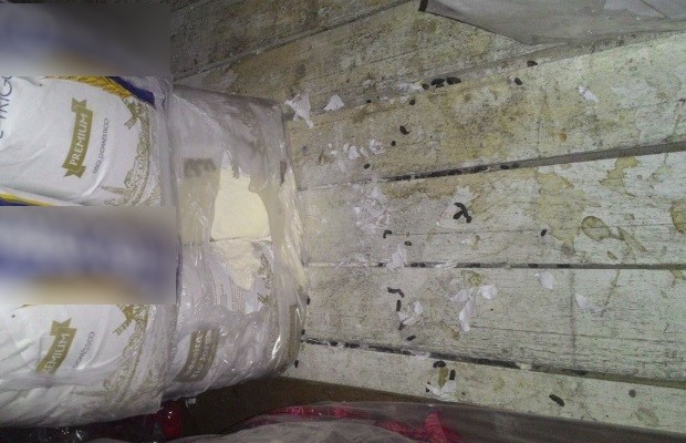 Polícia interdita supermercado após achar ratos mortos e fezes de animais