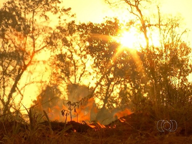 Defesa Civil aponta que 90% do Tocantins corre risco de ‘pegar fogo’