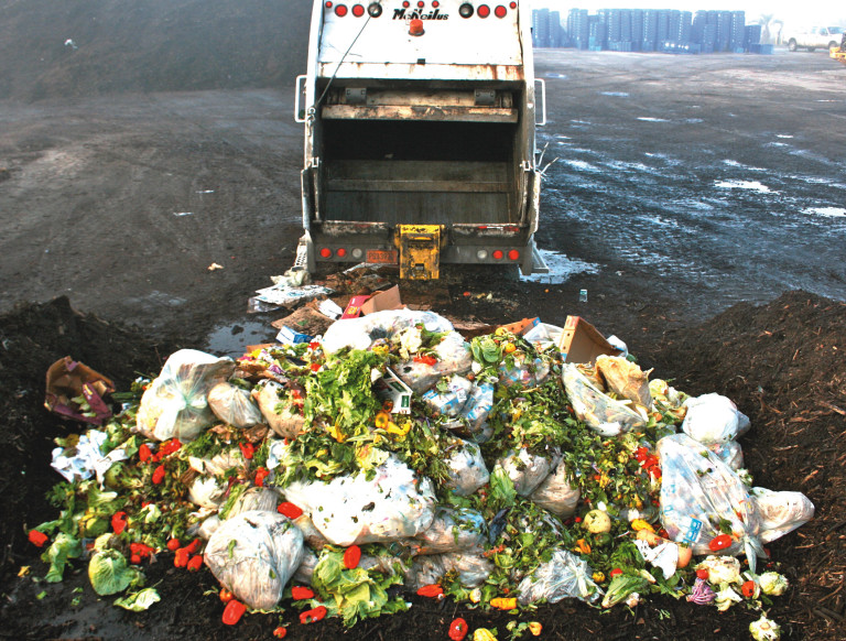 Brasil desperdiça 40 mil toneladas de alimento por dia, diz entidade