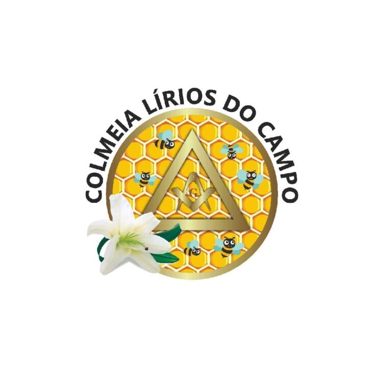A ‘Colmeia Lírios do Campo’ de Palmeirópolis realiza campanha de arrecadação e doação de agasalhos, medicamentos e cestas básicas