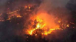 Agosto cinza: um mês dedicado à prevenção e combate aos incêndios florestais em Palmeirópolis