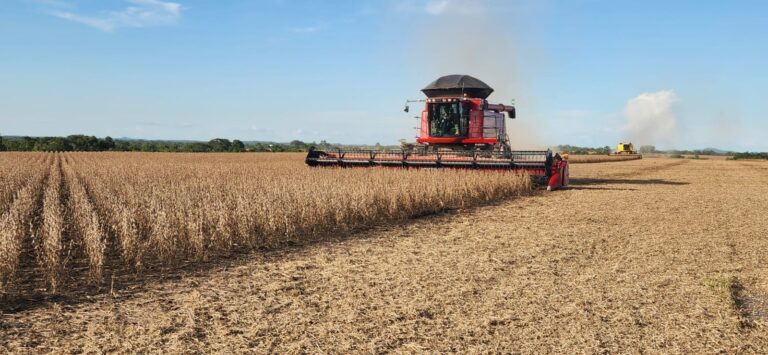 Colheita de soja avança com boas expectativas no Tocantins