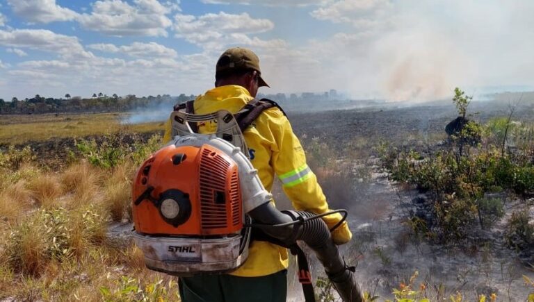 Naturatins mobiliza equipes no Jalapão em decorrência de incêndio em campo de capim-dourado