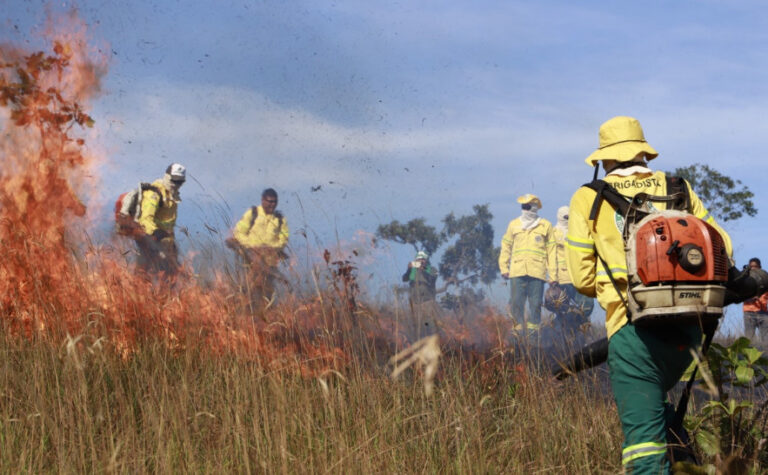 Queimadas: Naturatins destaca atuação nas Unidades de Conservação na prevenção e combate a incêndios